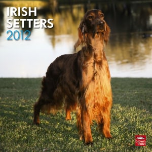 2012 Irish Setters Square 12X12 Wall Calendar