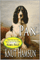 Pan