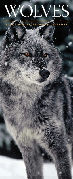 2012 Wolves Wall Calendar