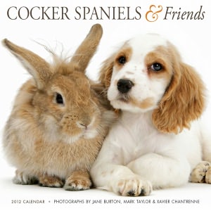 2012 Cocker Spaniels & Friends Wall Calendar