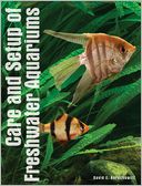 Setup and Care of Freshwater Aquariums