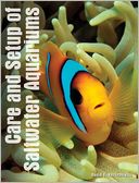 Setup & Care of Saltwater Aquariums