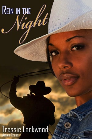 Rein in the Night (Interracial Cowboy Romance)