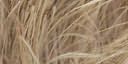 Moxie Yarn-Muskrat by Spinrite: Product Image