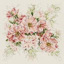 Garden Roses Counted Cross Stitch Kit-13"X13" 14 Count by Janlynn: Product Image