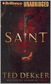Saint (Paradise Series #2)