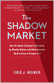 The Shadow Market: How a Group of Wealthy Nations and Powerful Investors Secretly Dominate the World