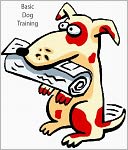 Basic Dog Training Tips From Puppy To Adult