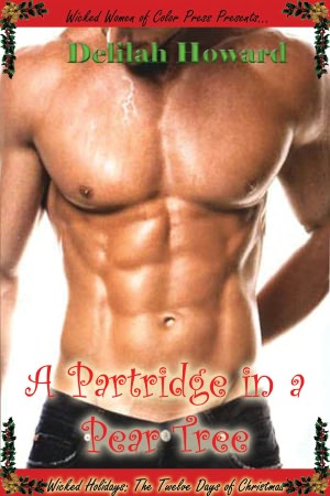 A Partridge in a Pear Tree (Interracial Erotic Romance)