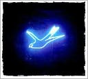 Neon Blue Bird