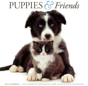 2012 Puppies & Friends Wall Calendar