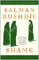 Shame: A Novel