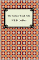 The Souls of Black Folk