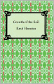 Growth of the Soil
