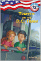 Trapped on the D.C. Train! (Capital Mysteries Series #13)