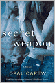 Secret Weapon