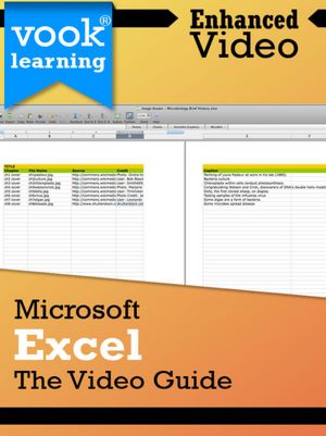 Microsoft Excel: The Video Guide (Enhanced Version)