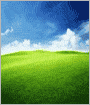 Leaves of Grass