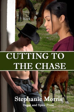 Cutting to the Chase [Interracial Romance]