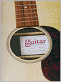 Guitar: An American Life