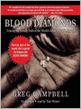 Blood Diamonds: Tracing the Deadly Path of the World's Most Precious Stones