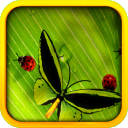 Butterflies & Ladybugs Live Wallpaper
