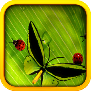 Butterflies & Ladybugs Live Wallpaper