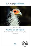 Australian Shelduck