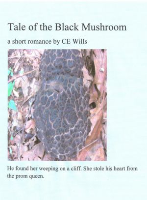 Tale of the Black Mushroom