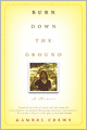 Burn Down the Ground: A Memoir