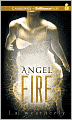 Angel Fire (Angel Trilogy Series #2)