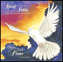 Spirit Soars