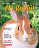 Training Your Pet Rabbit