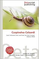Cuspivolva Celzardi
