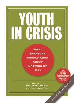 Youth in Crisis: What Everyone Should Know About Growing Up Gay