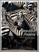 download Beautiful Teams : Inspiring and Cautionary Tales from Veteran Team Leaders book
