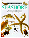Seashore