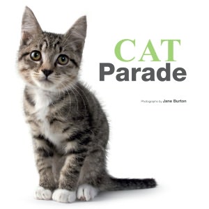 Cat Parade