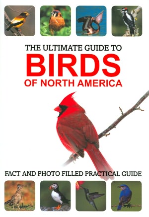 The Ultimate Guide to Birds of North America