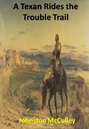 A Texan Rides the Trouble Trail w/ Direct link technology(A Western Adventure Story)
