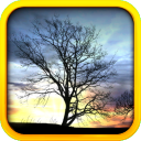 Amazing Sunset Live Wallpaper