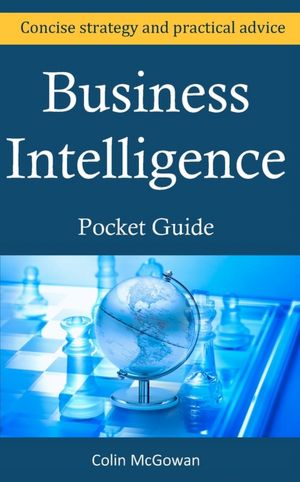 Business Intelligence Pocket Guide: A Concise Business Intelligence Strategy For Decision Support and Process Improvement Mr Colin McGowan