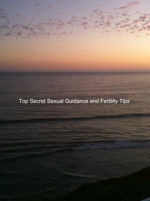 Top Secret Sexual Guidance and Fertility Tips for Married Couples, Divorced Parents, and Singles: One Hundred Popular Sex Twists and Turns And Decoding Sex Dreams