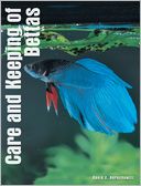 Care and Keeping of Bettas