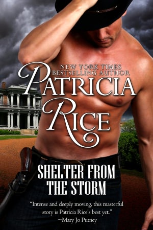 Shelter From the Storm