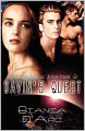 Davin's Quest (Resonance Mates #2)