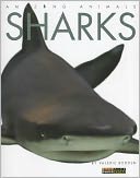 Amazing Animals: Sharks