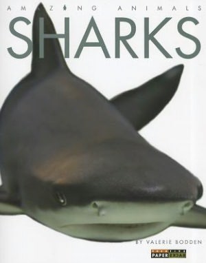 Amazing Animals: Sharks