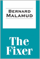 The Fixer