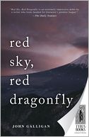 Red Sky, Red Dragonfly